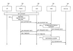 Access information handling in a mobile network with cellular network accesses and wireless local area network accesses