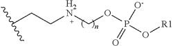 Modified polycationic polymers