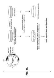 Screening method