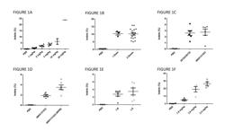 DELIVERY OF TARGET SPECIFIC NUCLEASES