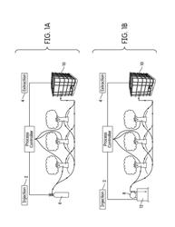 Production of electricity from plants