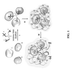 Multiple-enzyme nanocomplexes