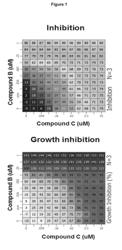 PHARMACEUTICAL COMBINATIONS