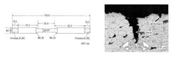 Stress corrosion crack test method in alcohol environment