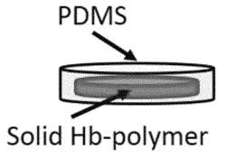 Solid hemoglobin-polymer biophotonic phantoms and their use