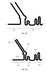 Engineered Nucleic-Acid Targeting Nucleic Acids