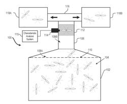 INSECT SINGULATOR SYSTEM