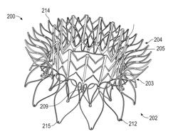 REPLACEMENT MITRAL VALVES