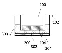 METHOD FOR DETERMINING WHETHER OR NOT TEST SAMPLE CONTAINS EXSEROHILUM PHYTOPATHOGENIC FUNGUS