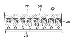 Liquid ejection head and liquid ejection device, and aging treatment method and initial setup method for a liquid ejection device