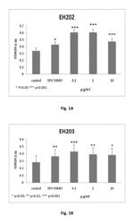 Compounds as positive allosteric modulators for erythropoietin and erythropoietin receptor to treat erythropoietin deficiency diseases