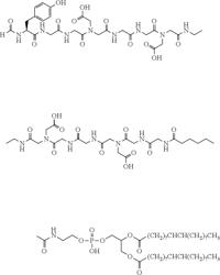 In vivo methods of monitoring biodistribution