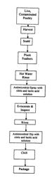 METHOD OF PROCESSING POULTRY AND OTHER MEAT TO REDUCE OR ELIMINATE SALMONELLA