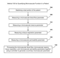 ASSESSMENT OF MICROVASCULAR DYSFUNCTION WITH SPECTRAL IMAGING