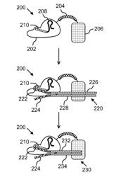 SYSTEMS AND METHODS FOR NUCLEIC ACID PREPARATION