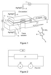 METHODS, APPARATUSES, AND SYSTEMS FOR STABILIZING NANO-ELECTRONIC DEVICES IN CONTACT WITH SOLUTIONS