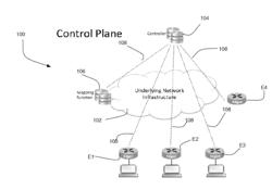 DISSEMINATION OF NAT TRAVERSAL ATTRIBUTES IN A CONTROL PLANE PROTOCOL