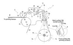 PRINTER AND CURL STRAIGHTENING METHOD