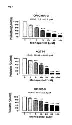 Compounds for the treatment of mTOR pathway related diseases