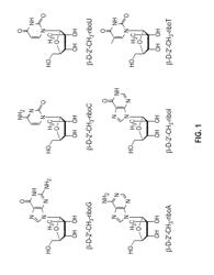 METHODS AND COMPOSITIONS FOR TREATING FLAVIVIRUSES AND PESTIVIRUSES