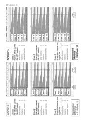 METHOD FOR ASSISTING PREDICTION OF RISK OF OCCURRENCE OF SIDE EFFECT OF IRINOTECAN