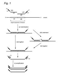 Focal Gene Expression Profiling of Stained FFPE Tissues with Spatial Correlation to Morphology