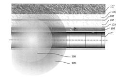 NEAR-FIELD SENSITIVITY OF FORMATION AND CEMENT POROSITY MEASUREMENTS WITH RADIAL RESOLUTION IN A BOREHOLE