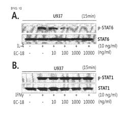 Composition containing monoacetyldiacylglycerol compound as active ingredient for inhibiting blood cancer or metastasis