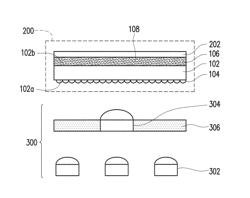 Press sheet for fingerprint reader and fingerprint reader