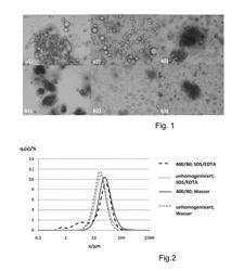 CREAM CHEESE-LIKE FOOD PRODUCT AND PRODUCTION METHOD