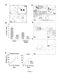 Antibodies Directed Against ICOS and Uses Thereof