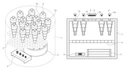 Fusion phantom for testing performance of magnetic resonance imaging and magnetic resonance spectroscopy