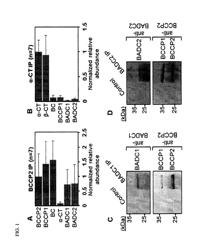 INCREASING PLANT OIL CONTENT BY ALTERING A NEGATIVE REGULATOR OF ACETYL-COA CARBOXYLASE