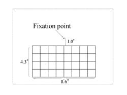 Method for assessing spectacle lens by evoked activity in visual cortex of brain or the like, and method for designing spectacle lens using said method for assessment