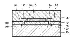 Flexible device including two-dimensional material and method of manufacturing the same