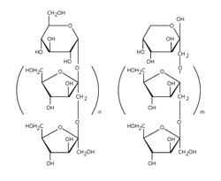 LONG CHAIN INULIN FOR STIMULATING AN IMMUNE RESPONSE