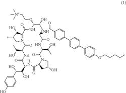 METHODS FOR TREATING FUNGAL INFECTIONS