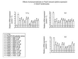 USE OF CANNABINOIDS IN THE TREATMENT OF INFLAMMATORY SKIN DISEASES