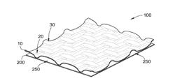 Negative Poisson's Ratio Waffle Structures