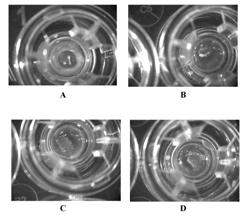 Improved Methods for Tissue Fabrication