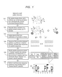 METHODS AND COMPOSITIONS FOR ASSESSING ANTIBODY SPECIFICITIES