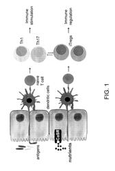 MATERIALS AND METHODS FOR PREVENTION AND TREATMENT OF DIARRHEA AND INFLAMMATION IN THE GASTROINTESTINAL TRACT