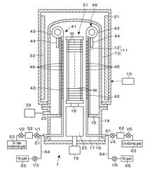 GAS SUPPLY MEMBER AND GAS PROCESSING APPARATUS