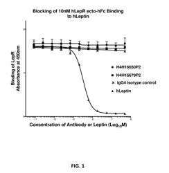 ANTIGEN-BINDING PROTEINS THAT ACTIVATE THE LEPTIN RECEPTOR