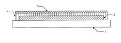 PEELING METHOD OF FLEXIBLE SUBSTRATE