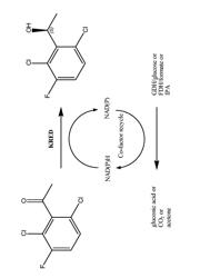 Ketoreductase polypeptides for the reduction of acetophenones