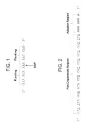 Methods of determining polymorphisms