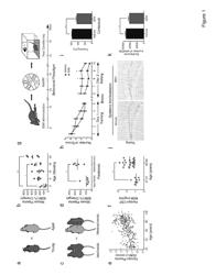 METHODS AND COMPOSITIONS FOR TREATING AGING-ASSOCIATED IMPAIRMENTS