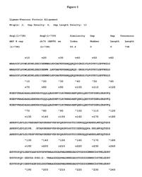 Recombinant adeno-associated virus delivery of alpha-sarcoglycan polynucleotides