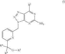 Triazolo[4,5-D] pyramidine derivatives and their use as purine receptor antagonists